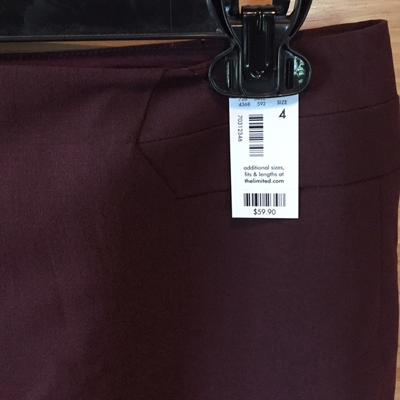 The Limited Skirt - Picture 3 of 3